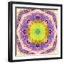 A Mandala from Flower Photographs-Alaya Gadeh-Framed Photographic Print