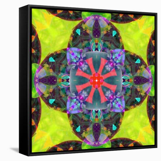 A Mandala from Flowers, and Ornaments-Alaya Gadeh-Framed Stretched Canvas