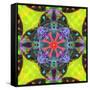 A Mandala from Flowers, and Ornaments-Alaya Gadeh-Framed Stretched Canvas