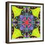 A Mandala from Flowers, and Ornaments-Alaya Gadeh-Framed Photographic Print