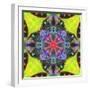 A Mandala from Flowers, and Ornaments-Alaya Gadeh-Framed Photographic Print