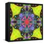 A Mandala from Flowers, and Ornaments-Alaya Gadeh-Framed Stretched Canvas