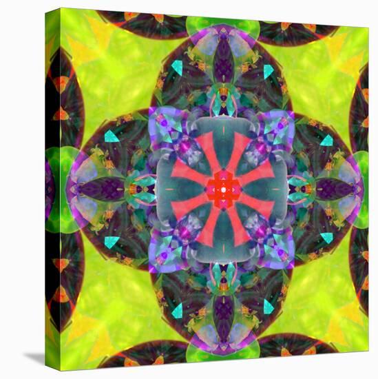 A Mandala from Flowers, and Ornaments-Alaya Gadeh-Stretched Canvas