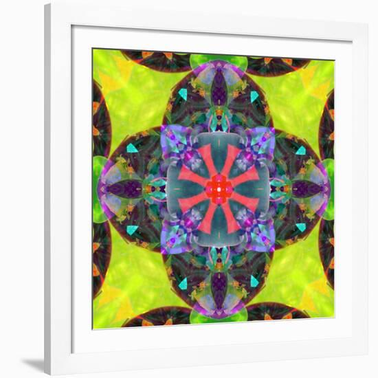 A Mandala from Flowers, and Ornaments-Alaya Gadeh-Framed Photographic Print