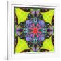 A Mandala from Flowers, and Ornaments-Alaya Gadeh-Framed Photographic Print
