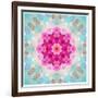 A Mandala from Flowers in Vintage Pastel Tones-Alaya Gadeh-Framed Photographic Print