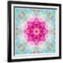 A Mandala from Flowers in Vintage Pastel Tones-Alaya Gadeh-Framed Photographic Print