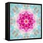 A Mandala from Flowers in Vintage Pastel Tones-Alaya Gadeh-Framed Stretched Canvas