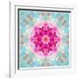 A Mandala from Flowers in Vintage Pastel Tones-Alaya Gadeh-Framed Photographic Print