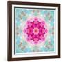 A Mandala from Flowers in Vintage Pastel Tones-Alaya Gadeh-Framed Photographic Print