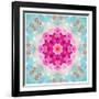 A Mandala from Flowers in Vintage Pastel Tones-Alaya Gadeh-Framed Photographic Print