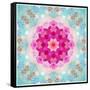 A Mandala from Flowers in Vintage Pastel Tones-Alaya Gadeh-Framed Stretched Canvas