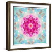 A Mandala from Flowers in Vintage Pastel Tones-Alaya Gadeh-Framed Photographic Print