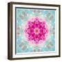 A Mandala from Flowers in Vintage Pastel Tones-Alaya Gadeh-Framed Photographic Print