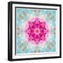 A Mandala from Flowers in Vintage Pastel Tones-Alaya Gadeh-Framed Photographic Print