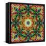 A Mandala from Flowers, Photograph, Many Layer Artwork-Alaya Gadeh-Framed Stretched Canvas