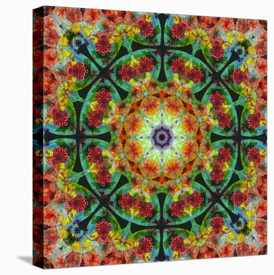 A Mandala from Flowers, Photograph, Many Layer Artwork-Alaya Gadeh-Stretched Canvas