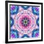 A Mandala from Flowers-Alaya Gadeh-Framed Photographic Print