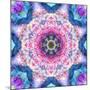 A Mandala from Flowers-Alaya Gadeh-Mounted Photographic Print