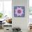 A Mandala from Flowers-Alaya Gadeh-Framed Stretched Canvas displayed on a wall