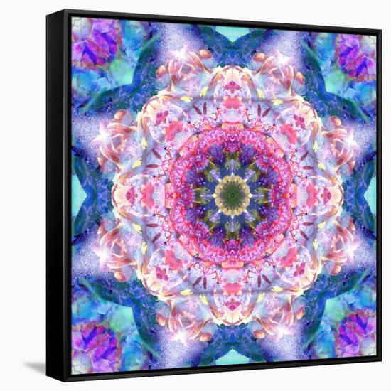 A Mandala from Flowers-Alaya Gadeh-Framed Stretched Canvas