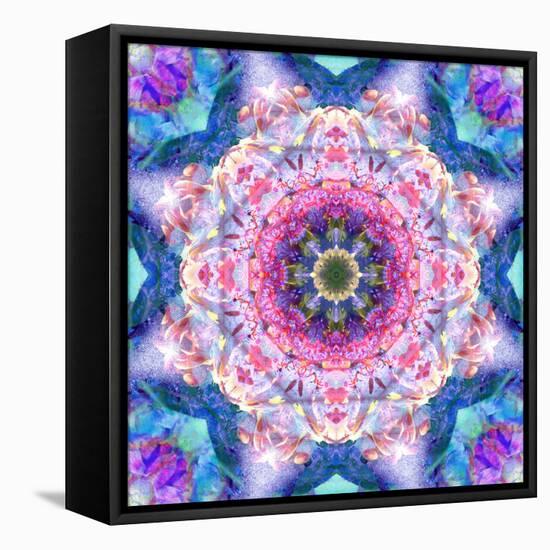 A Mandala from Flowers-Alaya Gadeh-Framed Stretched Canvas