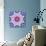 A Mandala from Flowers-Alaya Gadeh-Photographic Print displayed on a wall