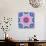 A Mandala from Flowers-Alaya Gadeh-Photographic Print displayed on a wall