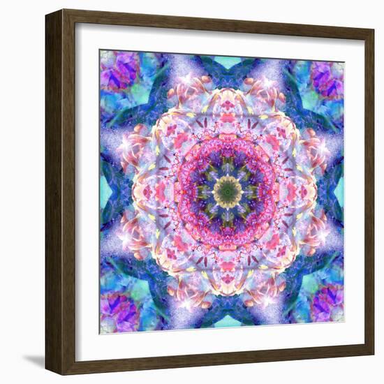 A Mandala from Flowers-Alaya Gadeh-Framed Photographic Print