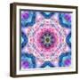 A Mandala from Flowers-Alaya Gadeh-Framed Photographic Print