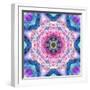 A Mandala from Flowers-Alaya Gadeh-Framed Photographic Print