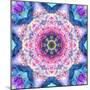 A Mandala from Flowers-Alaya Gadeh-Mounted Photographic Print