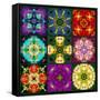 A Mandala from Flowers-Alaya Gadeh-Framed Stretched Canvas