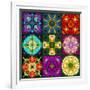 A Mandala from Flowers-Alaya Gadeh-Framed Photographic Print