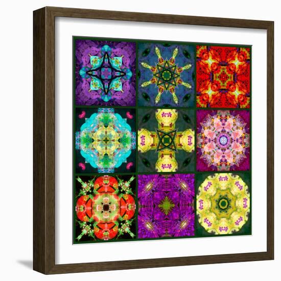 A Mandala from Flowers-Alaya Gadeh-Framed Photographic Print