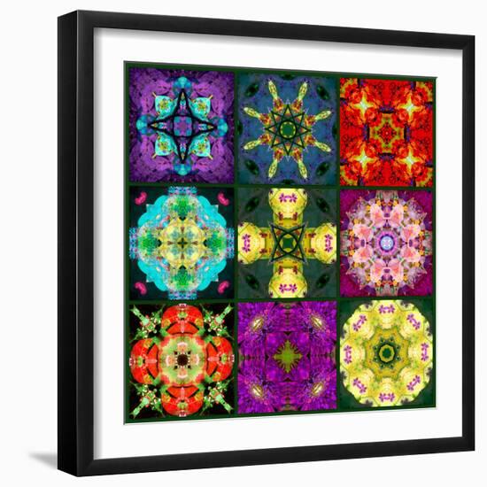 A Mandala from Flowers-Alaya Gadeh-Framed Photographic Print