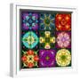 A Mandala from Flowers-Alaya Gadeh-Framed Photographic Print