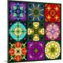 A Mandala from Flowers-Alaya Gadeh-Mounted Photographic Print