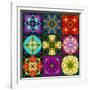 A Mandala from Flowers-Alaya Gadeh-Framed Photographic Print