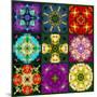 A Mandala from Flowers-Alaya Gadeh-Mounted Photographic Print