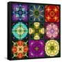 A Mandala from Flowers-Alaya Gadeh-Framed Stretched Canvas