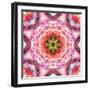 A Mandala from Flowers-Alaya Gadeh-Framed Photographic Print