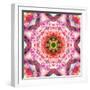 A Mandala from Flowers-Alaya Gadeh-Framed Photographic Print