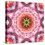 A Mandala from Flowers-Alaya Gadeh-Stretched Canvas