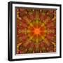 A Mandala from Leafes and Flowers, Conceptual, Symmetric Layer Work-Alaya Gadeh-Framed Photographic Print