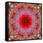 A Mandala from Rose and Cherry Blossom Photographs-Alaya Gadeh-Framed Stretched Canvas