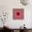 A Mandala from Rose and Cherry Blossom Photographs-Alaya Gadeh-Stretched Canvas displayed on a wall