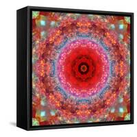 A Mandala from Rose and Cherry Blossom Photographs-Alaya Gadeh-Framed Stretched Canvas