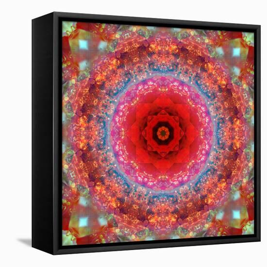 A Mandala from Rose and Cherry Blossom Photographs-Alaya Gadeh-Framed Stretched Canvas