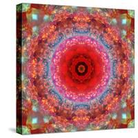 A Mandala from Rose and Cherry Blossom Photographs-Alaya Gadeh-Stretched Canvas